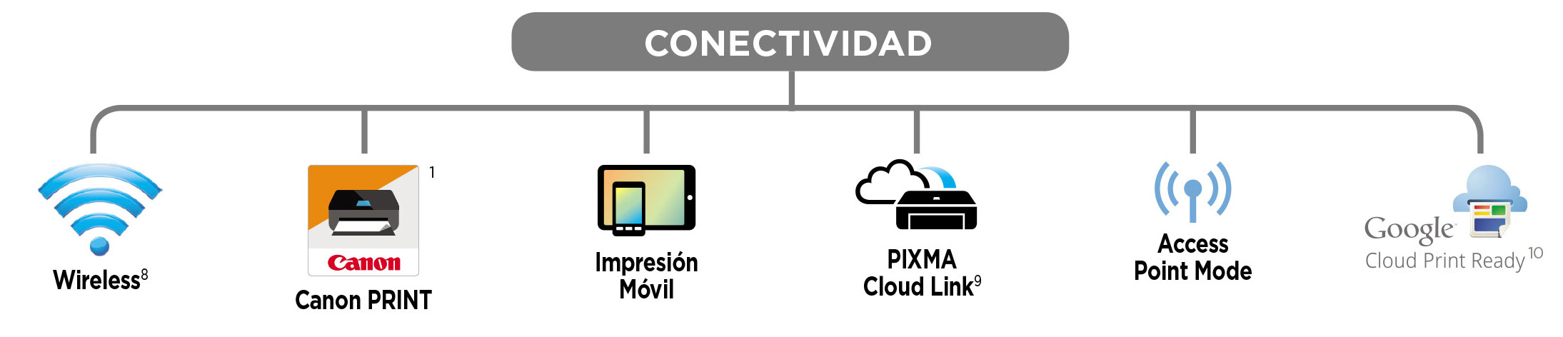 [Texto descriptivo de la imagen]