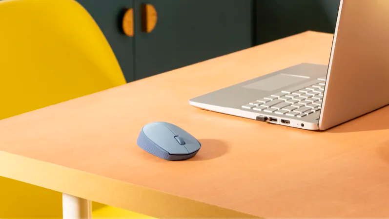 Logitech Wireless Mouse M170