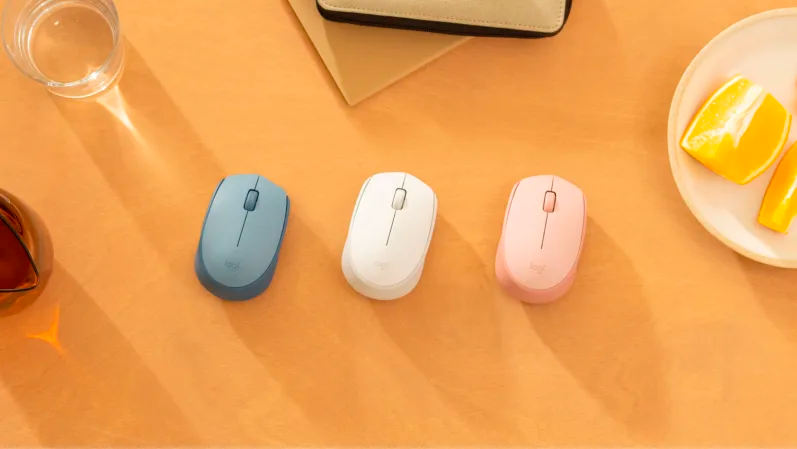 Logitech Wireless Mouse M170