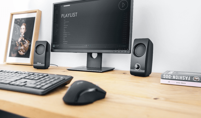 Parlante PC altavoces est&eacute;reo Trust 2.0 Negro