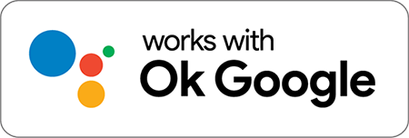 Logo Google
