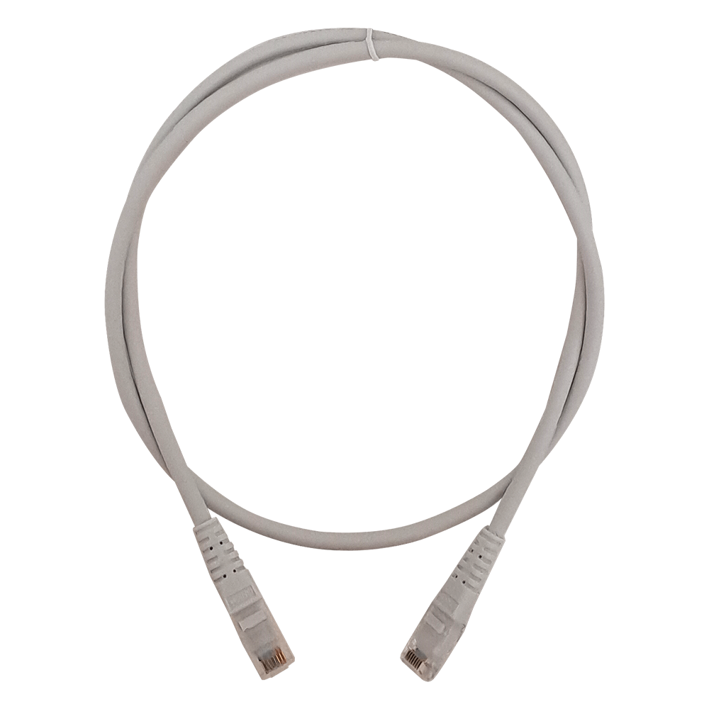 Detalle del conector RJ45 del cable LAN Cat6 gris