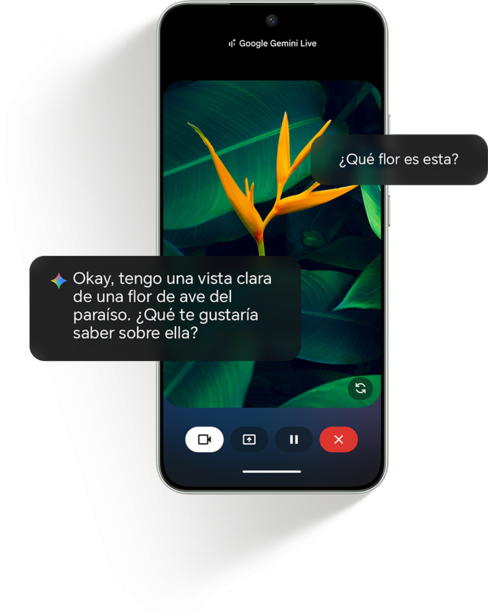 celular Honor Magic8 Lite