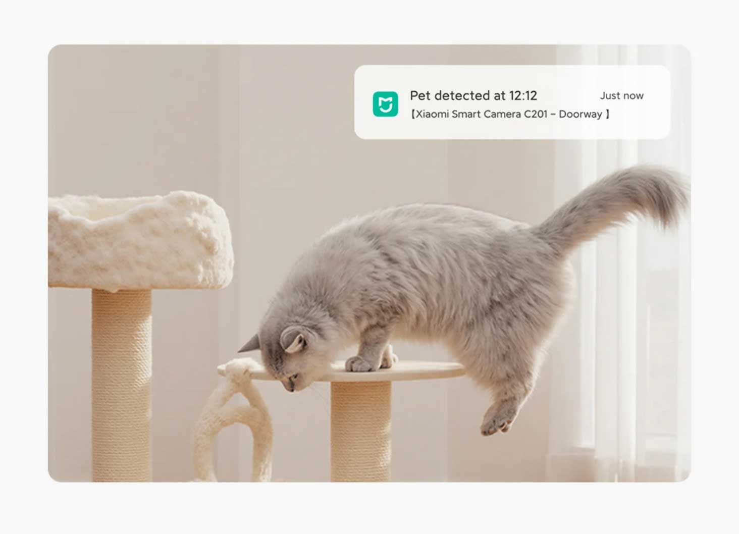 Xiaomi Smart Camera C201 sistema de seguridad para hogar inteligente con app Xiaomi Home