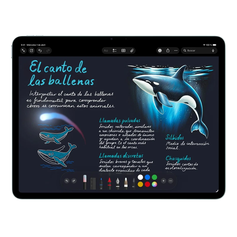 Detalle de las c&aacute;maras avanzadas y conectividad del iPad Air