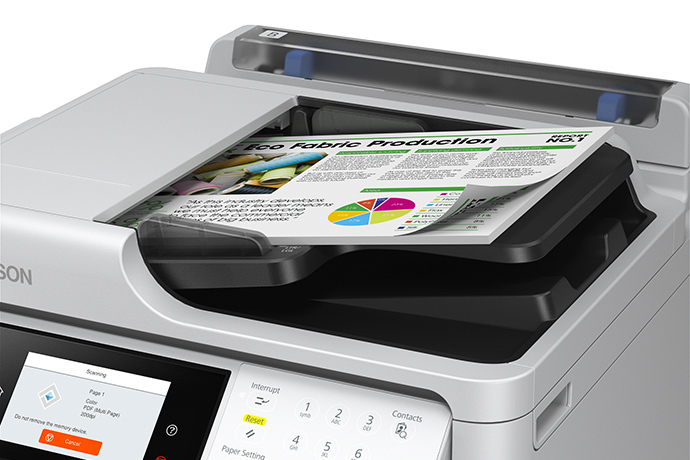Sistema de bolsas de tinta reemplazables RIPS de Epson